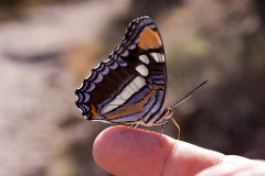 27_Big Bend National Park_12